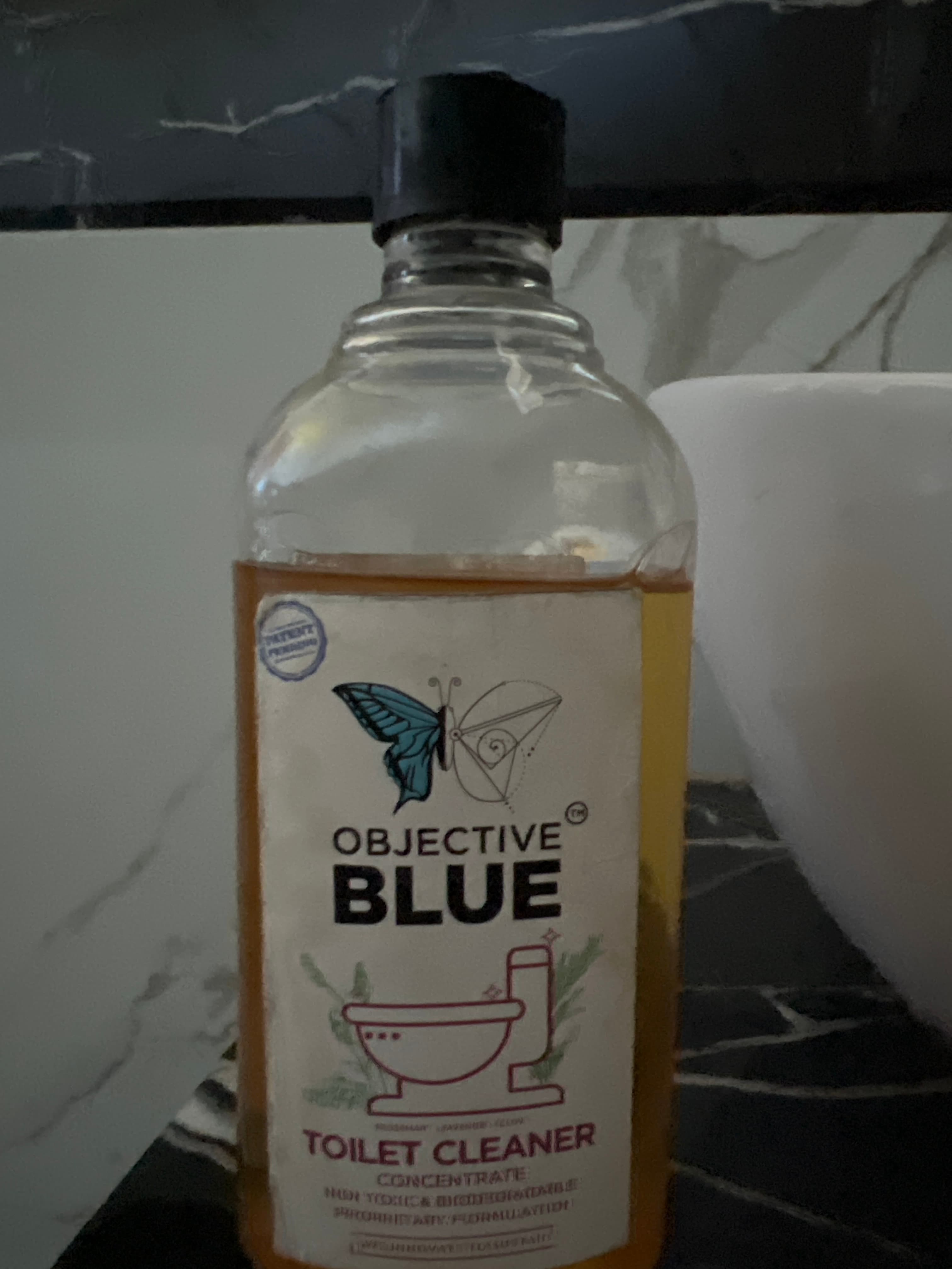 Toilet cleaner